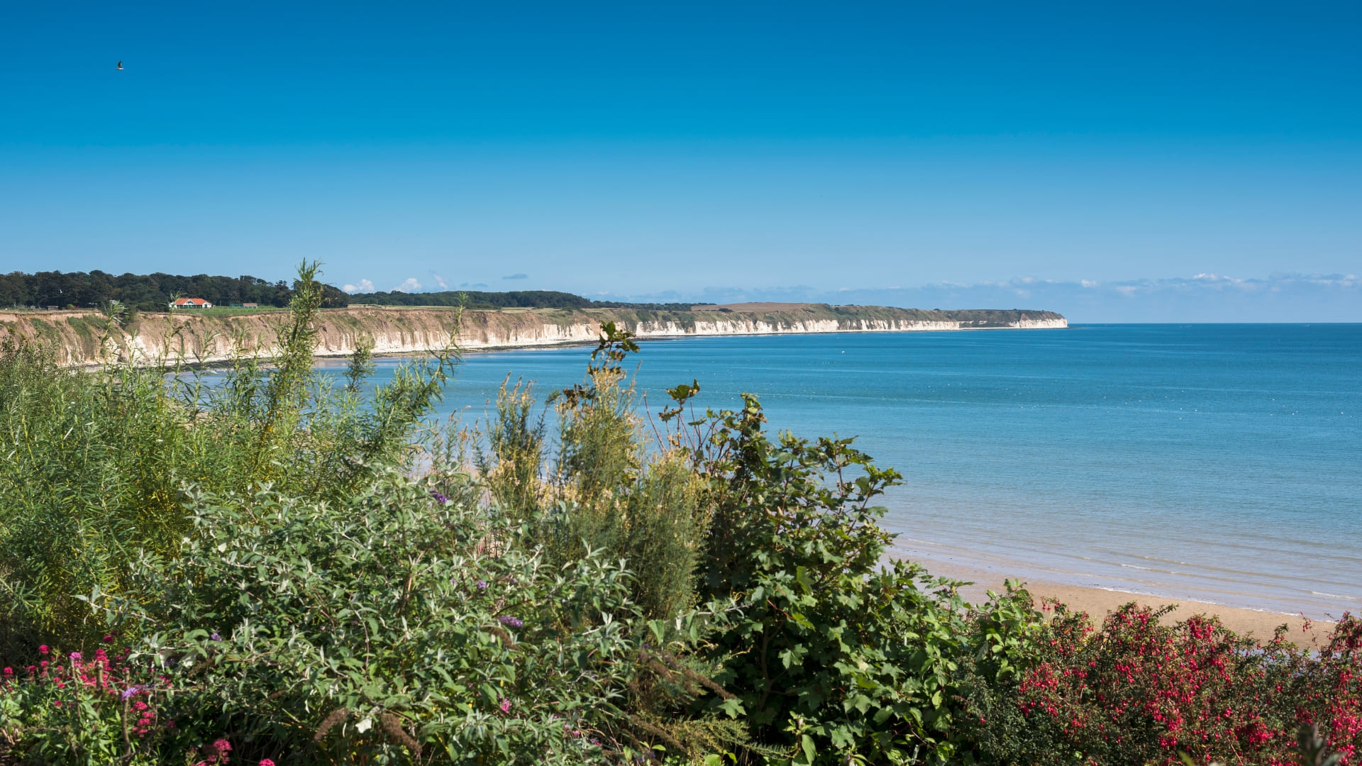 Bridlington